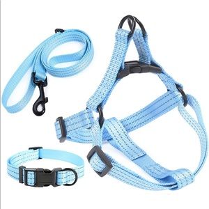 Night Reflective LARGE Dog Collar & Harness Set